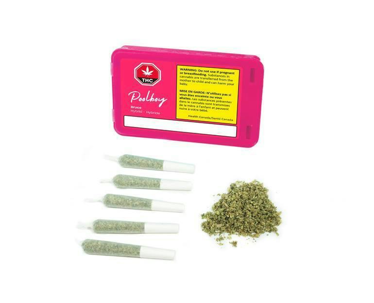 Poolboy - Bruce 5 x 0.35 g Pre-Rolls