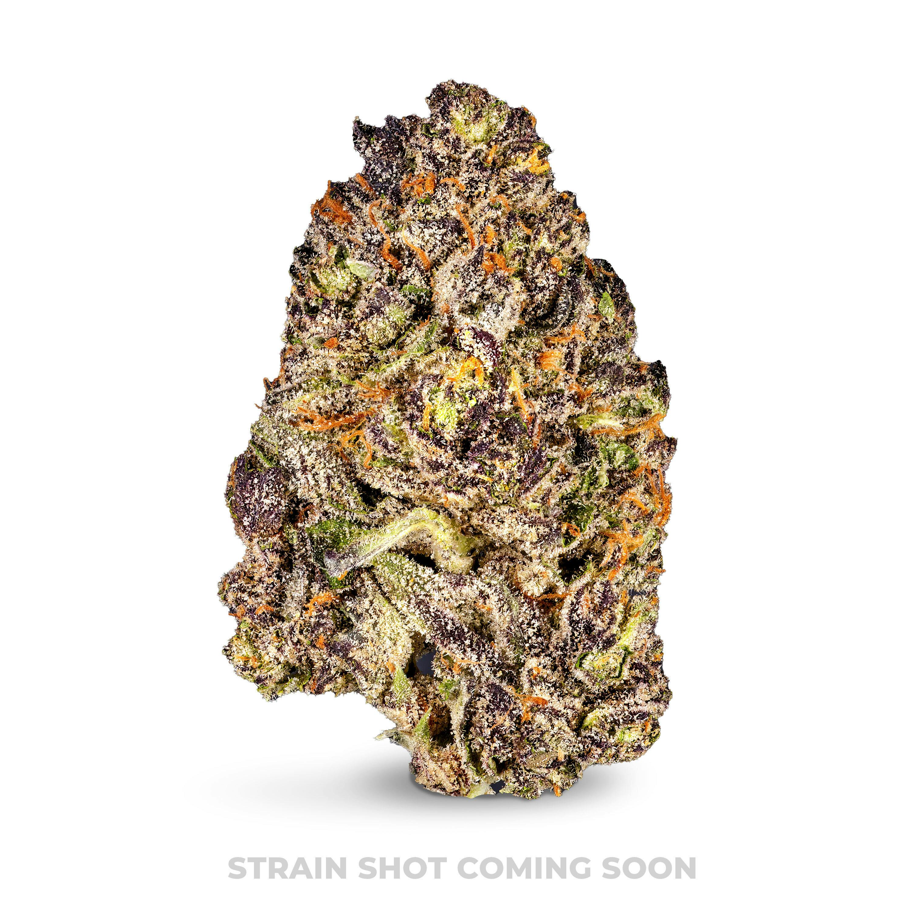 Purple Milk