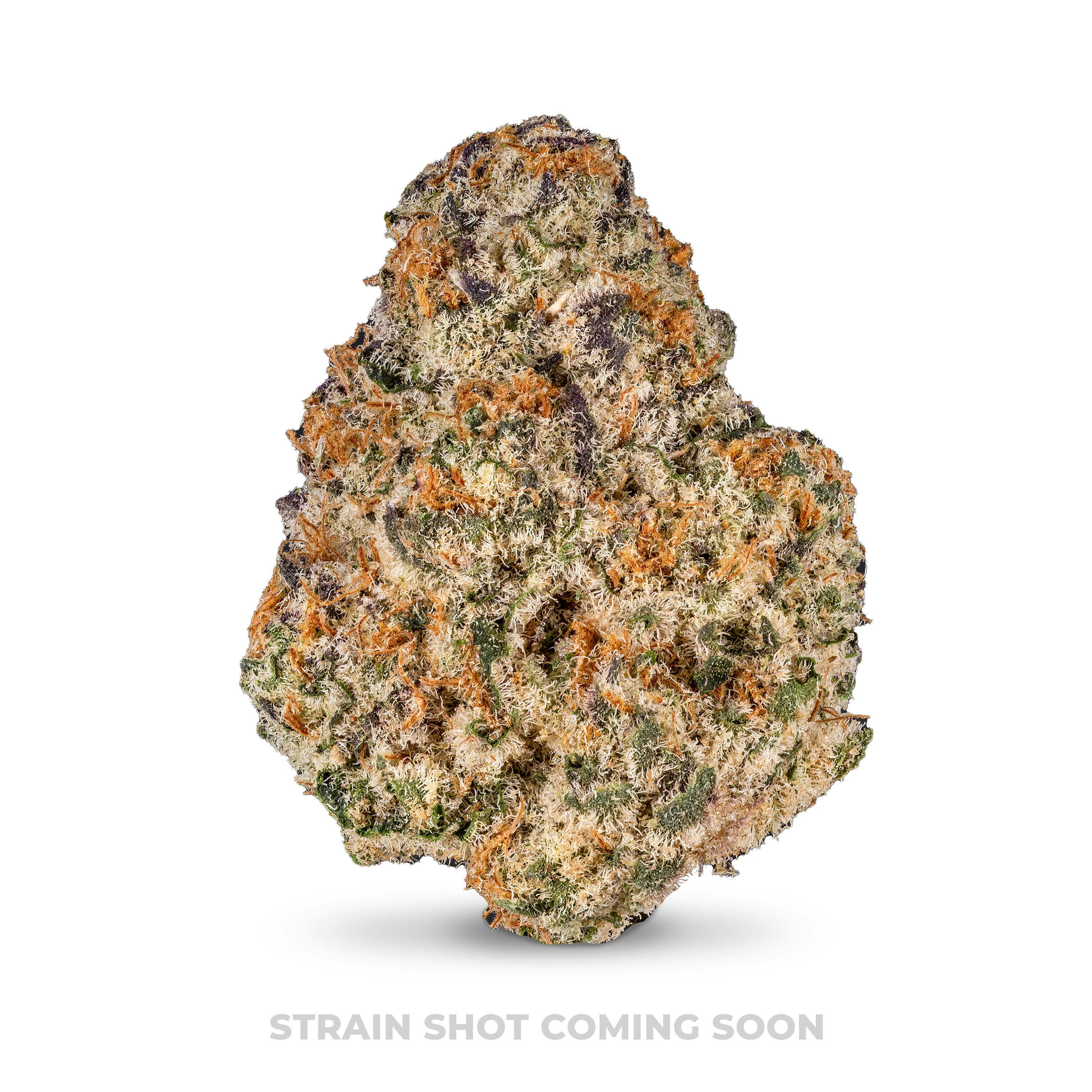 Violet Fog Pre Roll