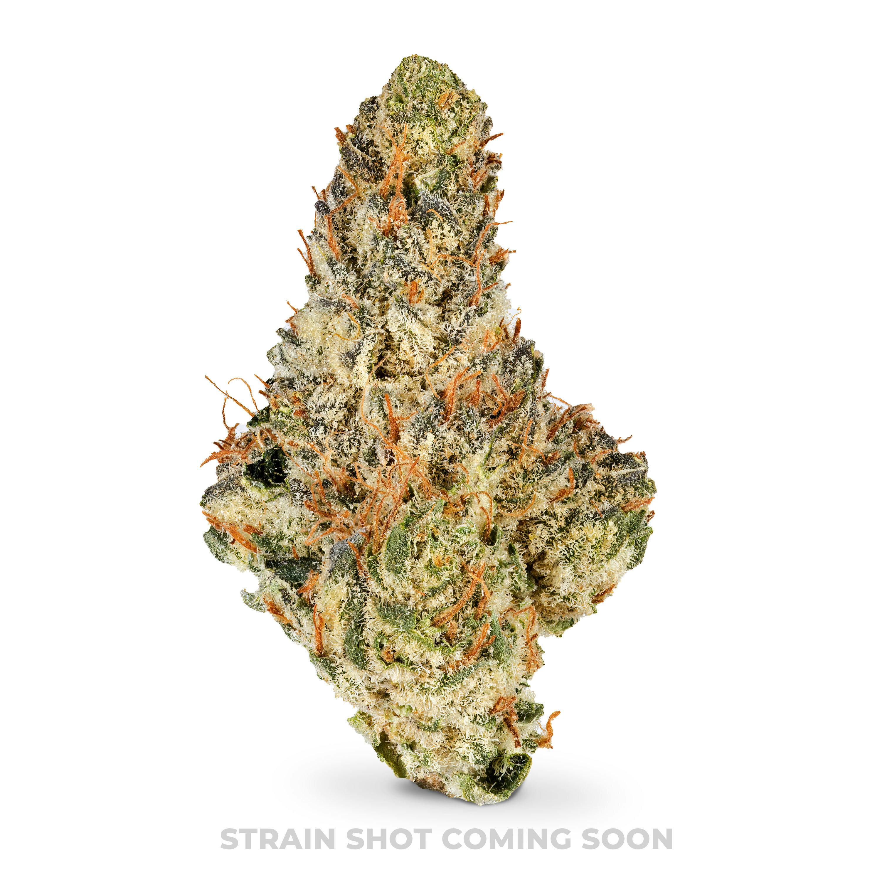 Grand Daddy Purp