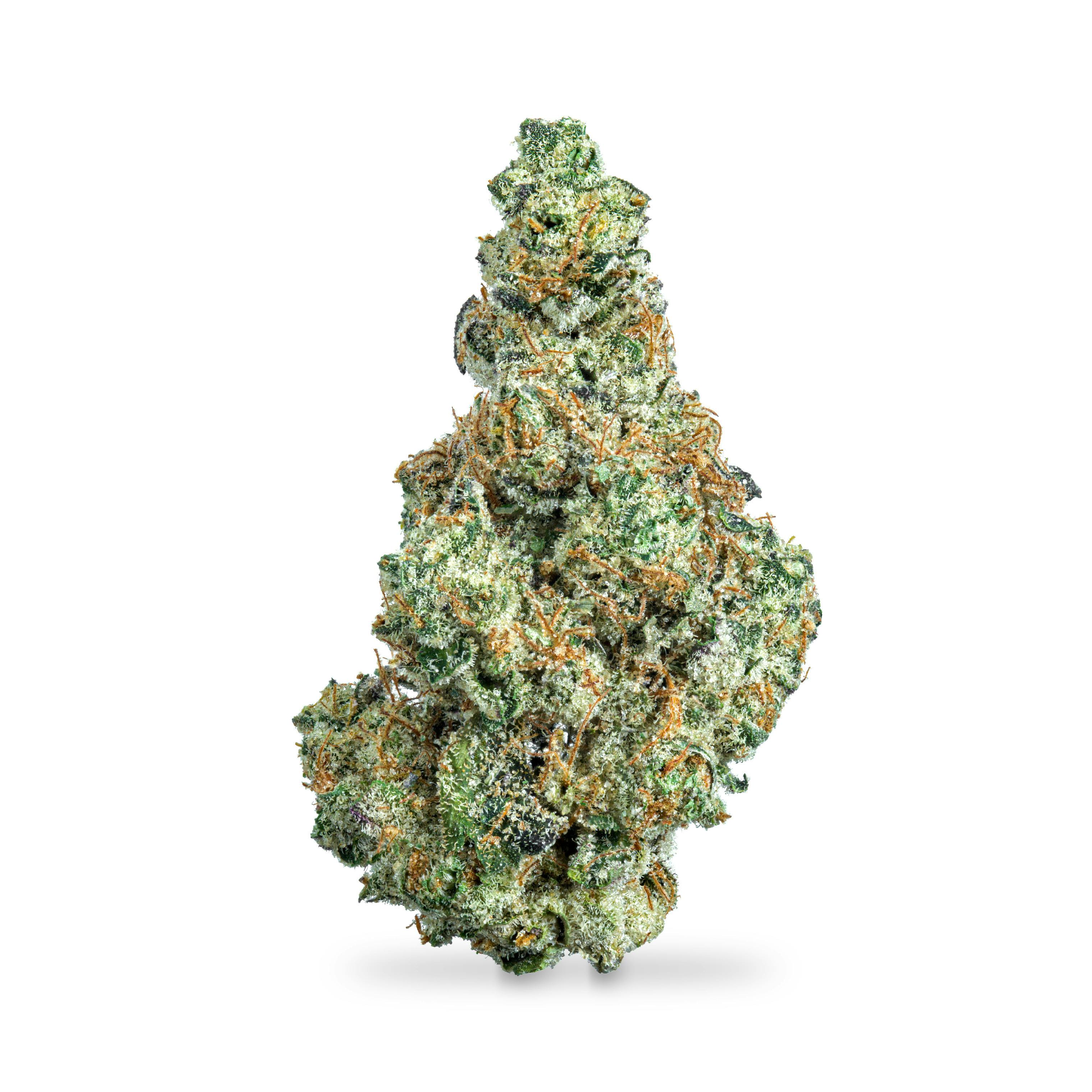GG#4