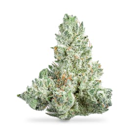 GG4