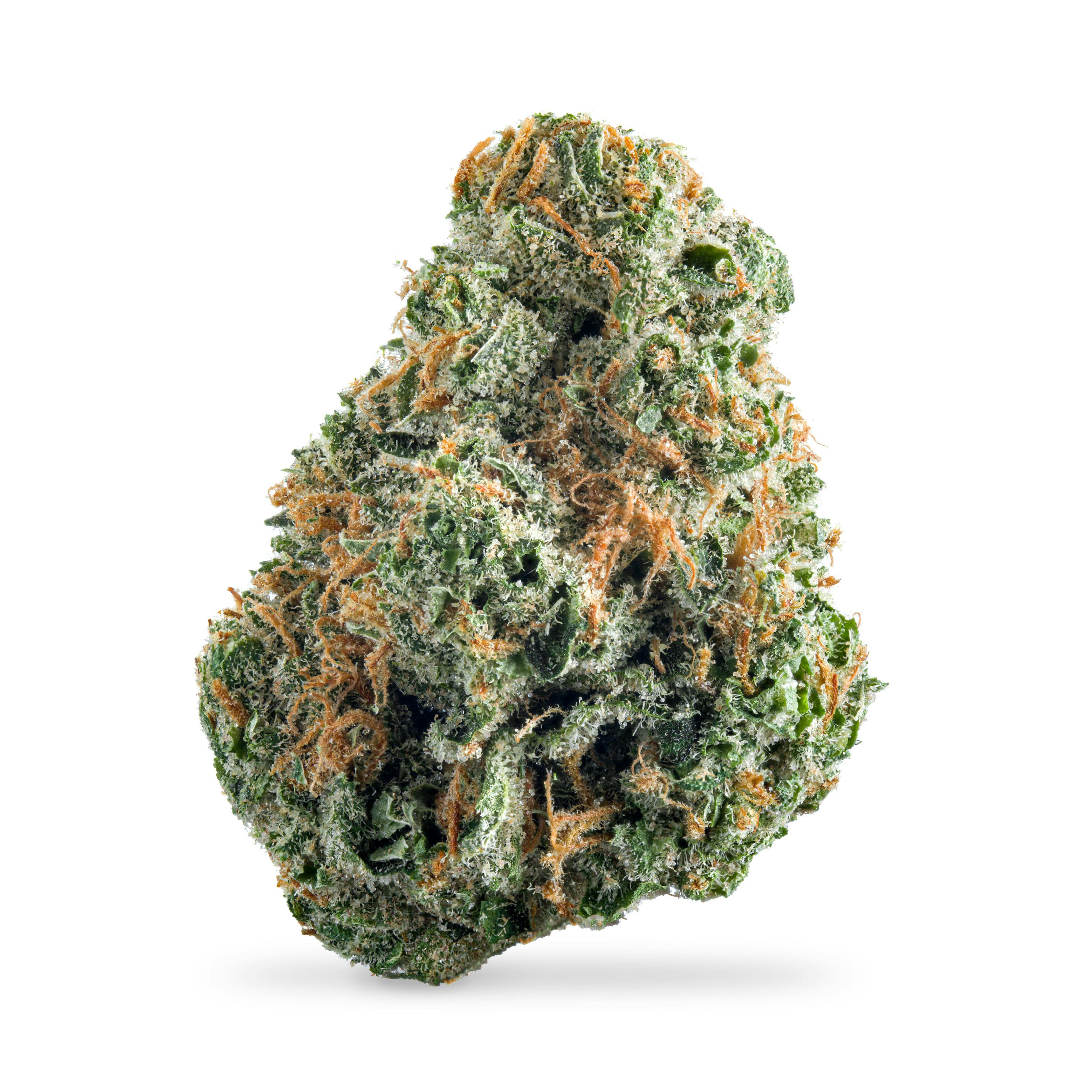 Super Lemon Mac