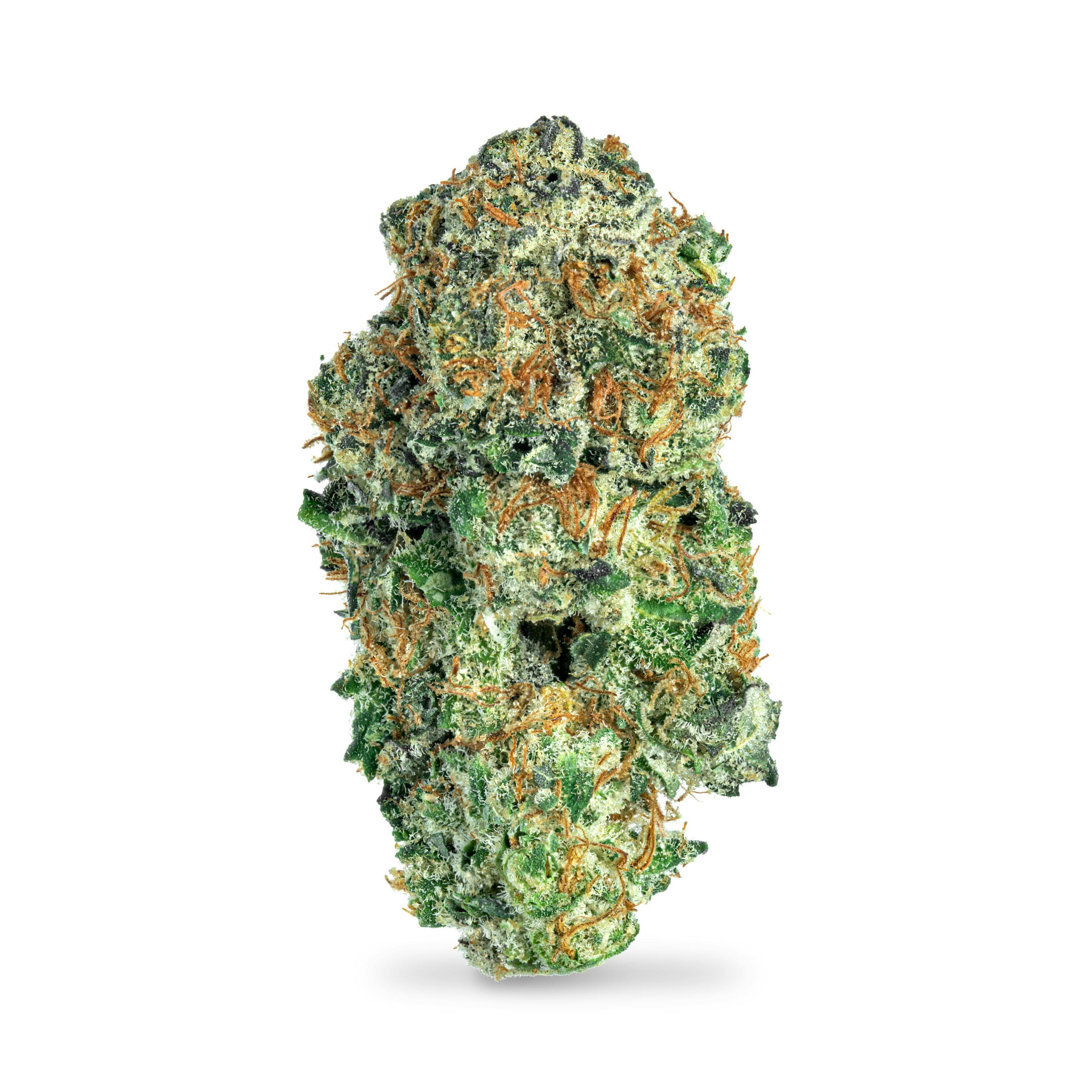 Garlic Breath