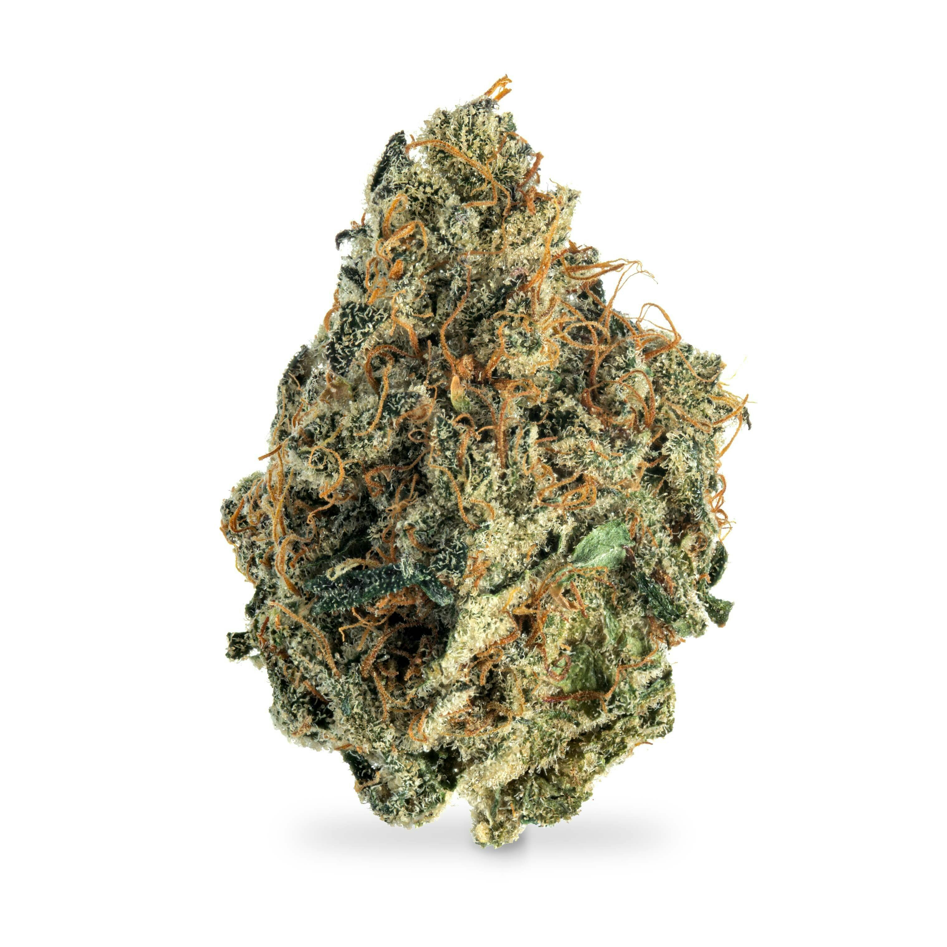 Lilac Diesel