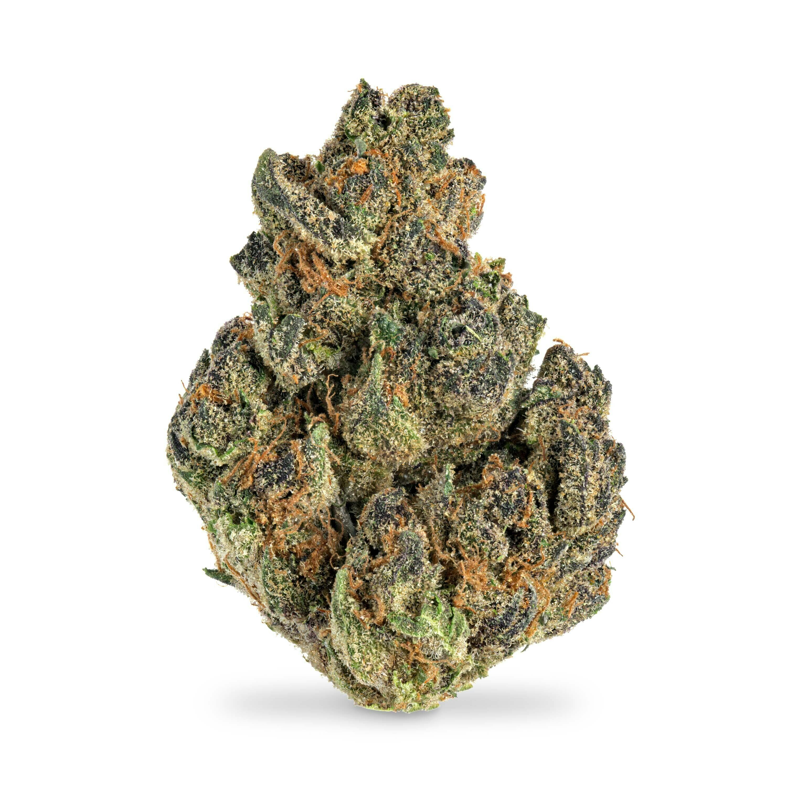 Mule Fuel