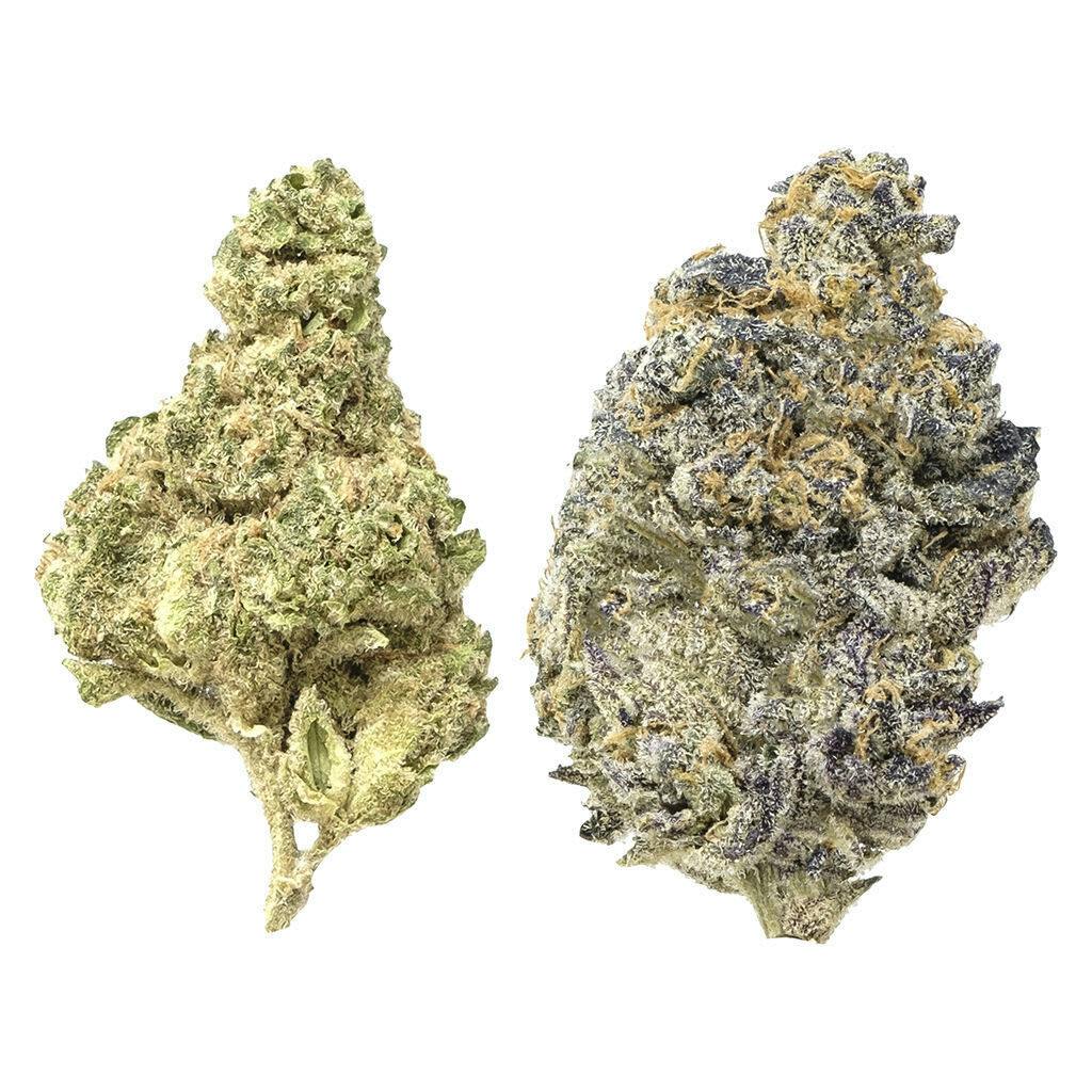 Candi Gas Mixed Pack - Froot Stripez & Gas Tingz 7g Dried Flower