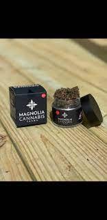 Magnolia cannabis Lime Stomper