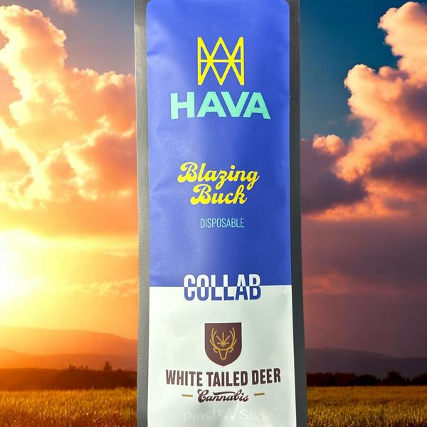 HAVA | 1g Blazing Buck Disposable