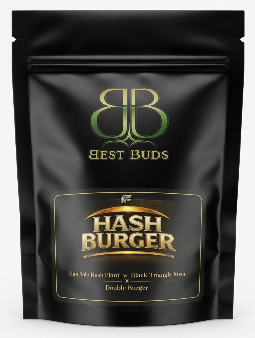 Best Buds | 3.5g HashBurger