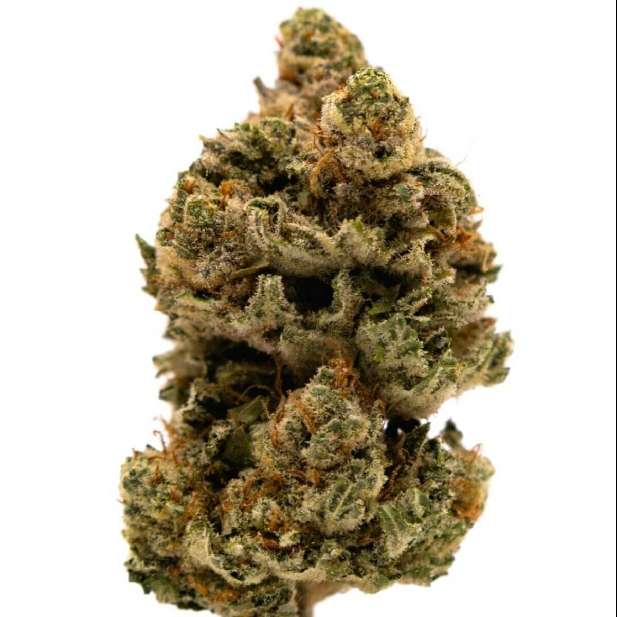 3.5G ALIEN OG