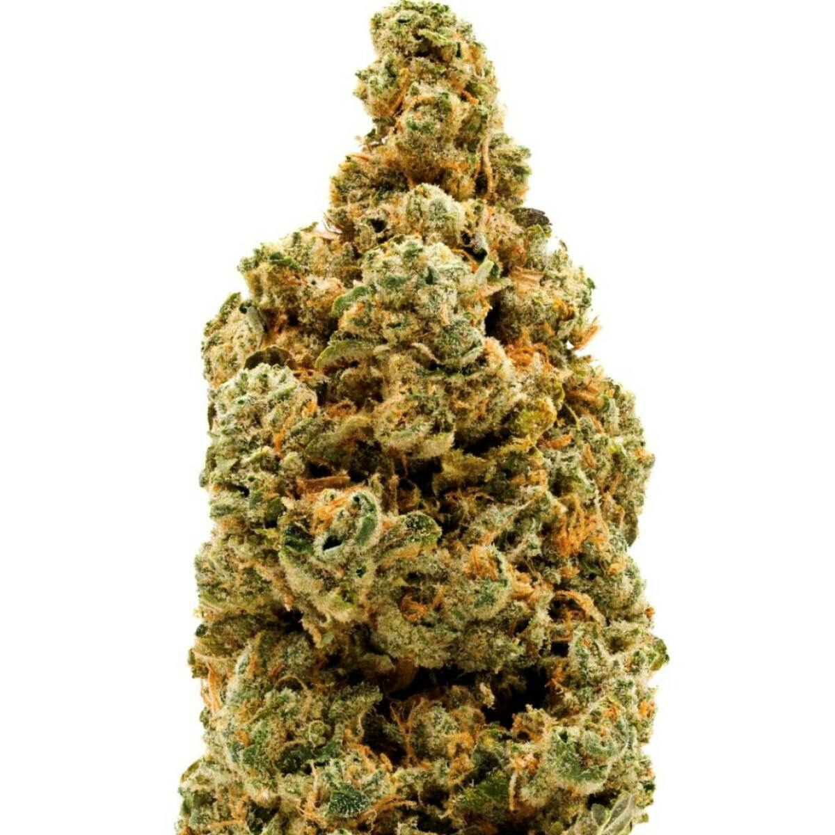 3.5G DONNY BURGER TIER 2 FLOWER