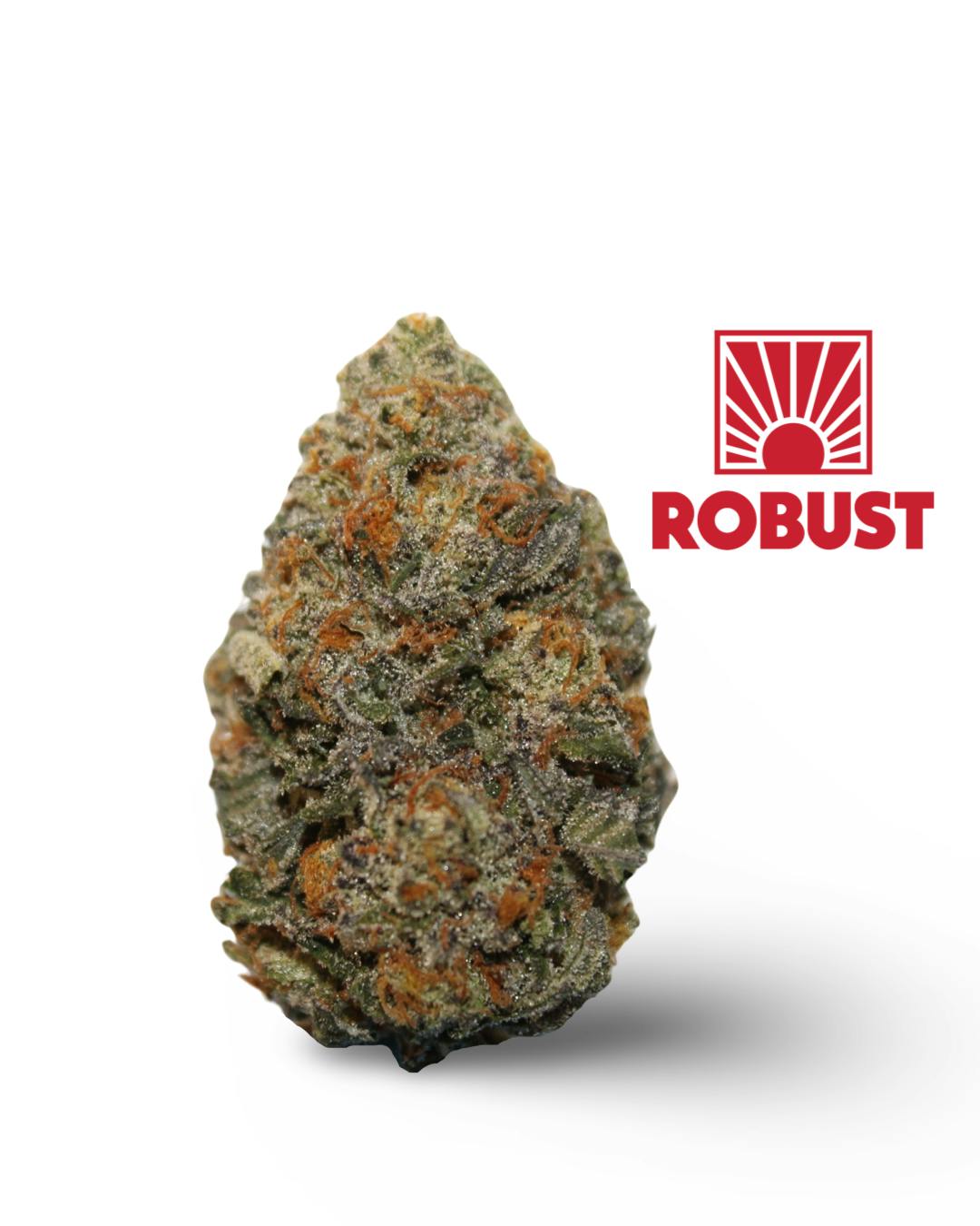 3.5G ORANGE RUNTZ