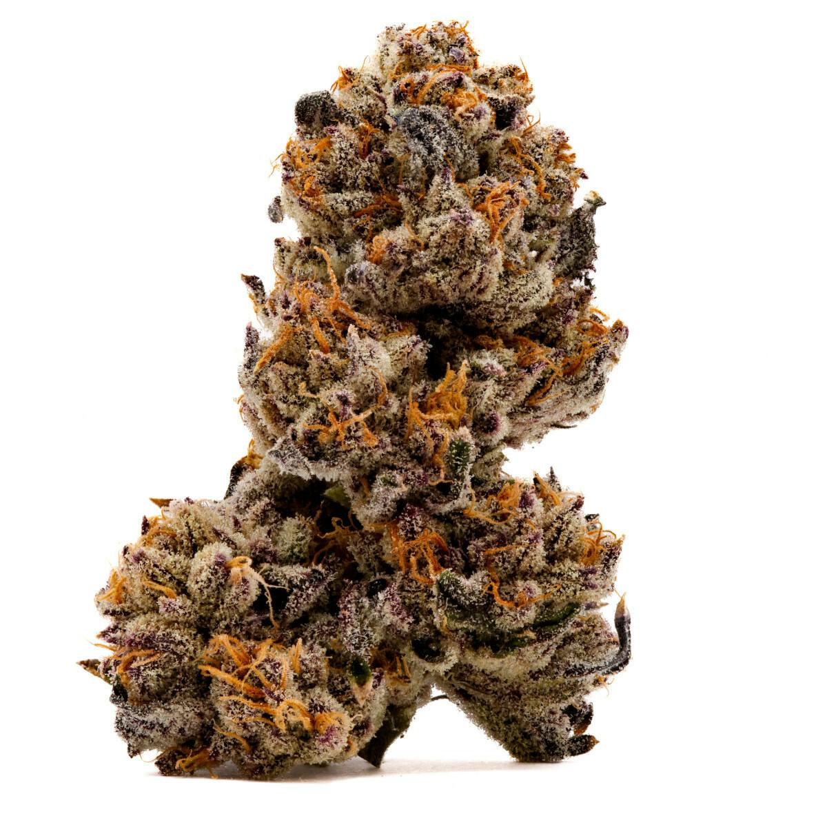 Purple Rain