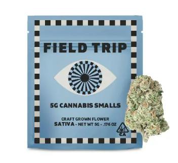 Field Trip Smalls 5g Gelonade