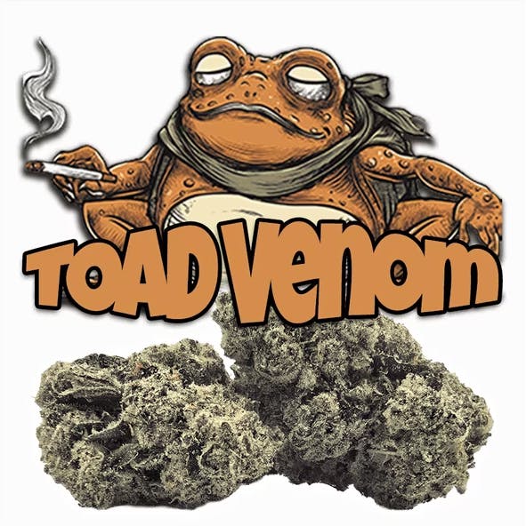 Green Dragon | Toad Venom | Flowers | 3.5g