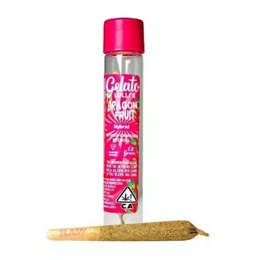 Gelato Lolli Infused Preroll 1.2g Dragon Fruit