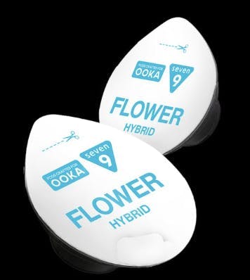 Ooka - Apples and Bananas 2pk Pod Crafted for Ooka