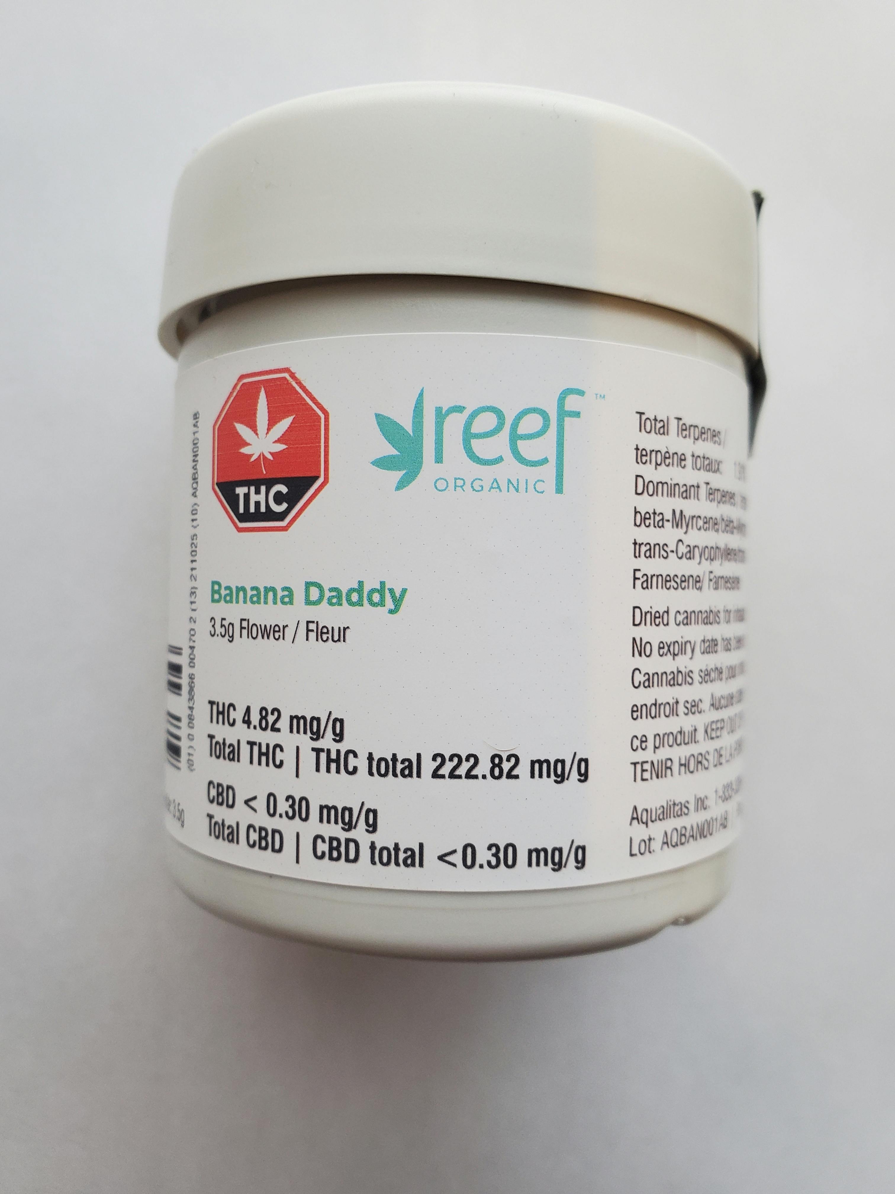 Reef - Banana Daddy - Flower - 3.5g