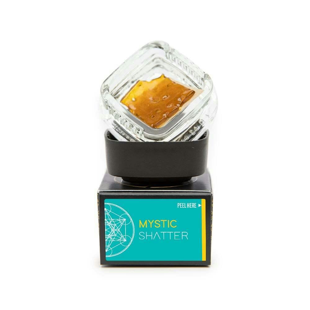 Double Bear Synonym Cheese 2g Shatter