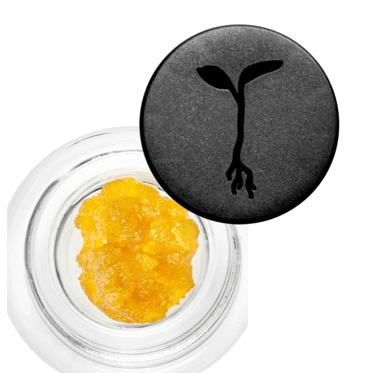 Yuzu Blossom (S) | 1g Live Resin Concentrate | Raw Garden