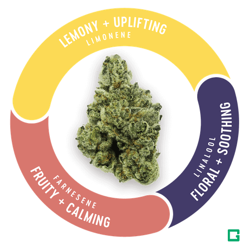 MAPLE NECTAR | DELI STYLE - POPCORN at Kind Goods Recreational Dispensary - Affton