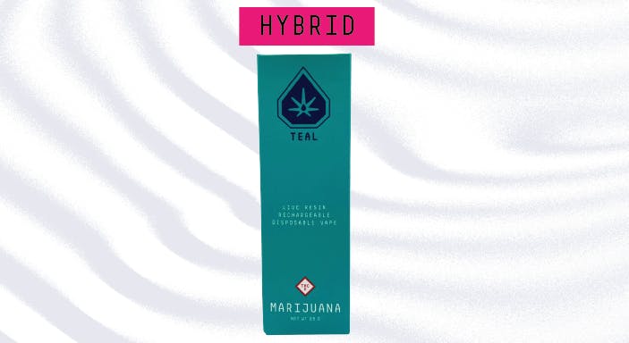 X MEAN MUG || .5G DISPOSABLE