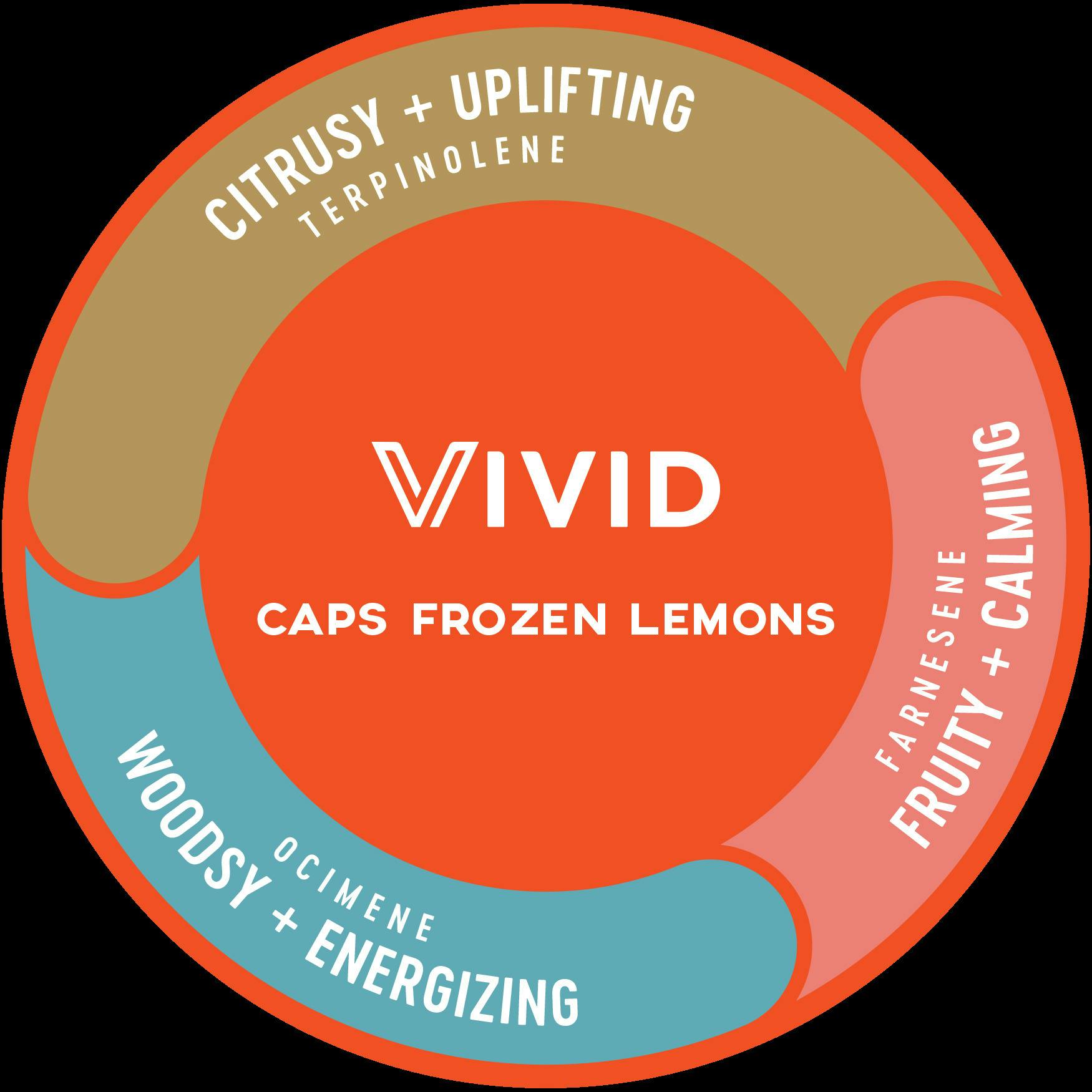 CAPS FROZEN LEMONS || DELI STYLE - POPCORN