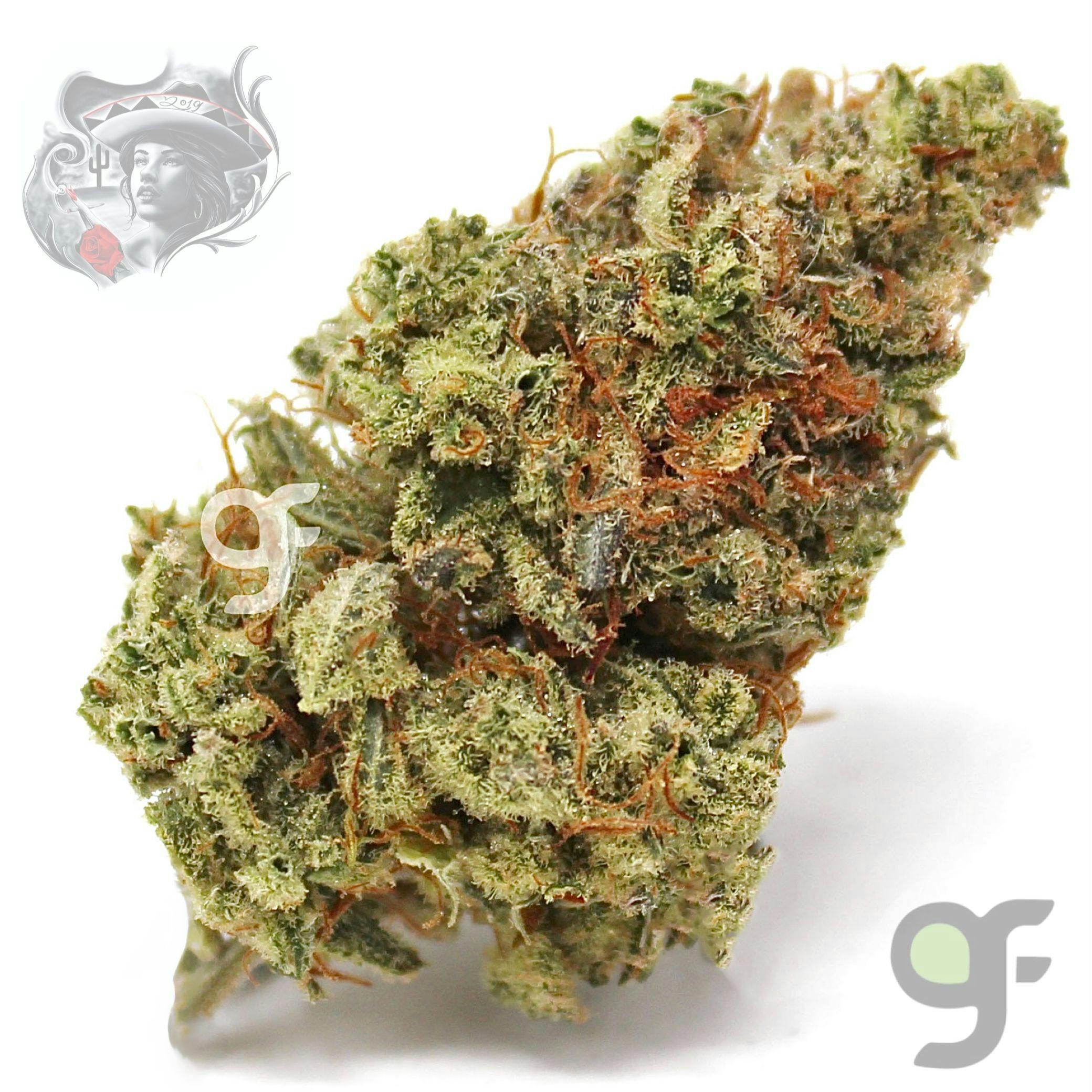 Lilac Diesel