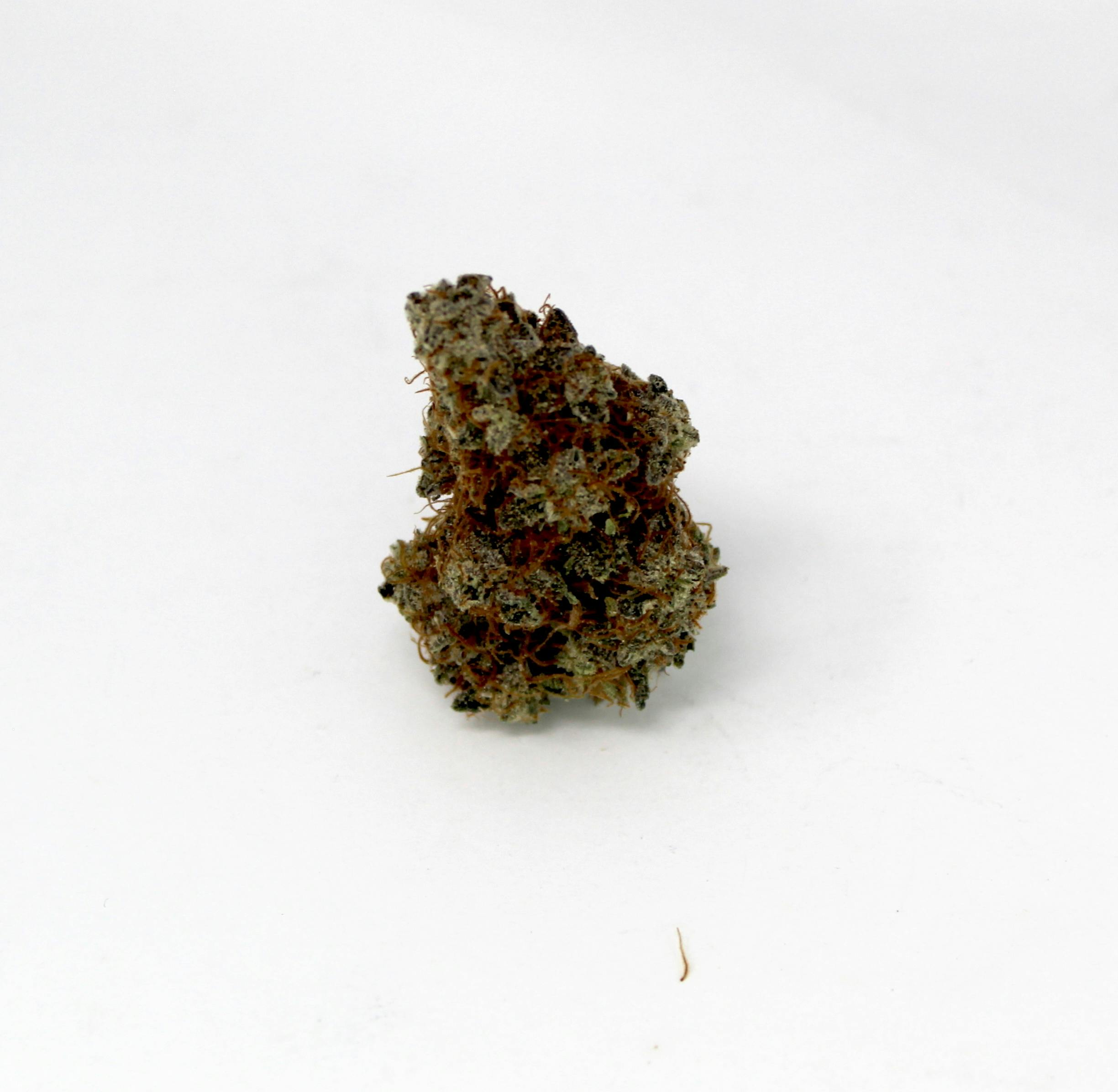 Green Flower Dispensary Animal Tree