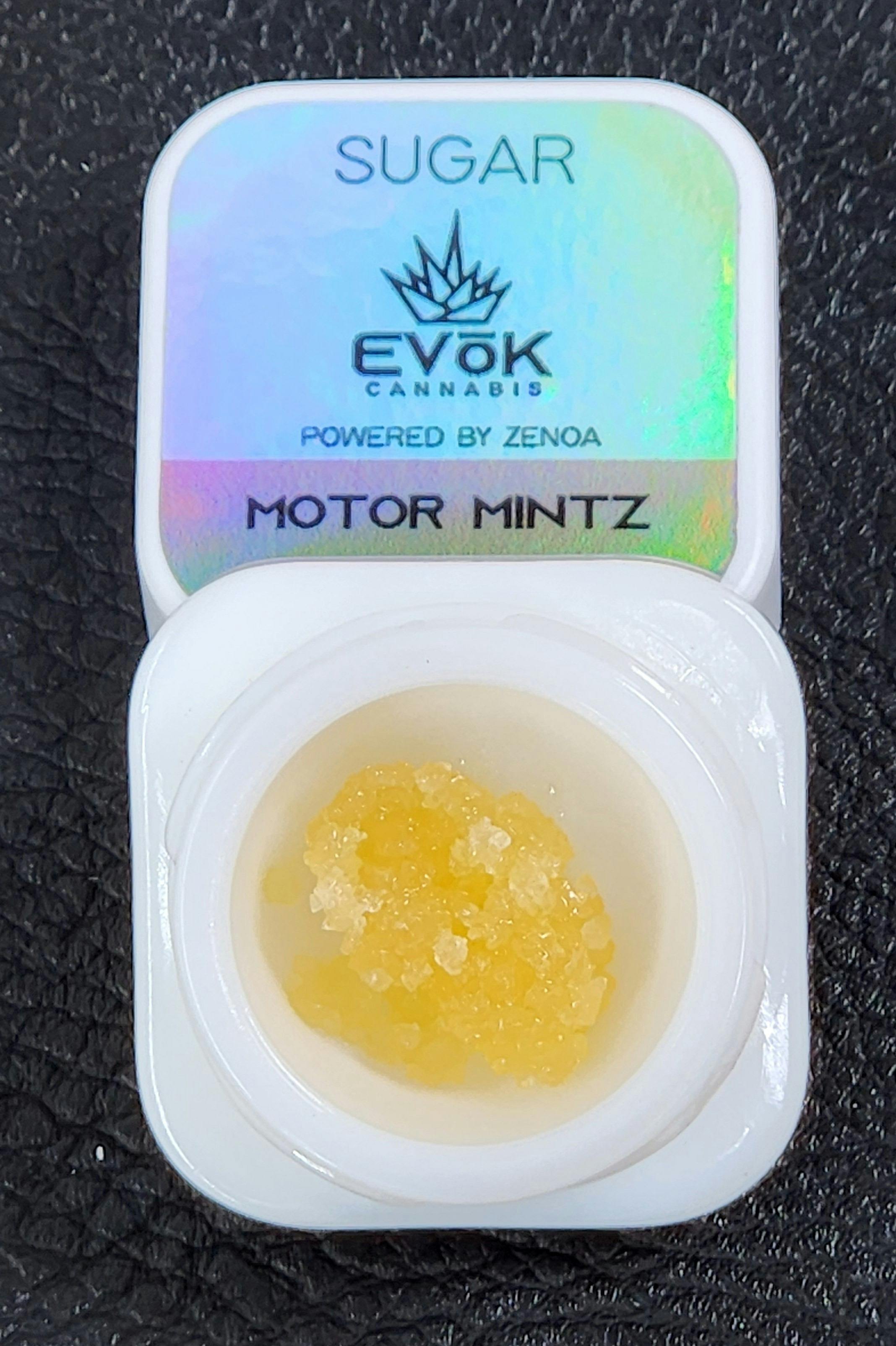 Evok 1.0g Sugar- Motor Mintz