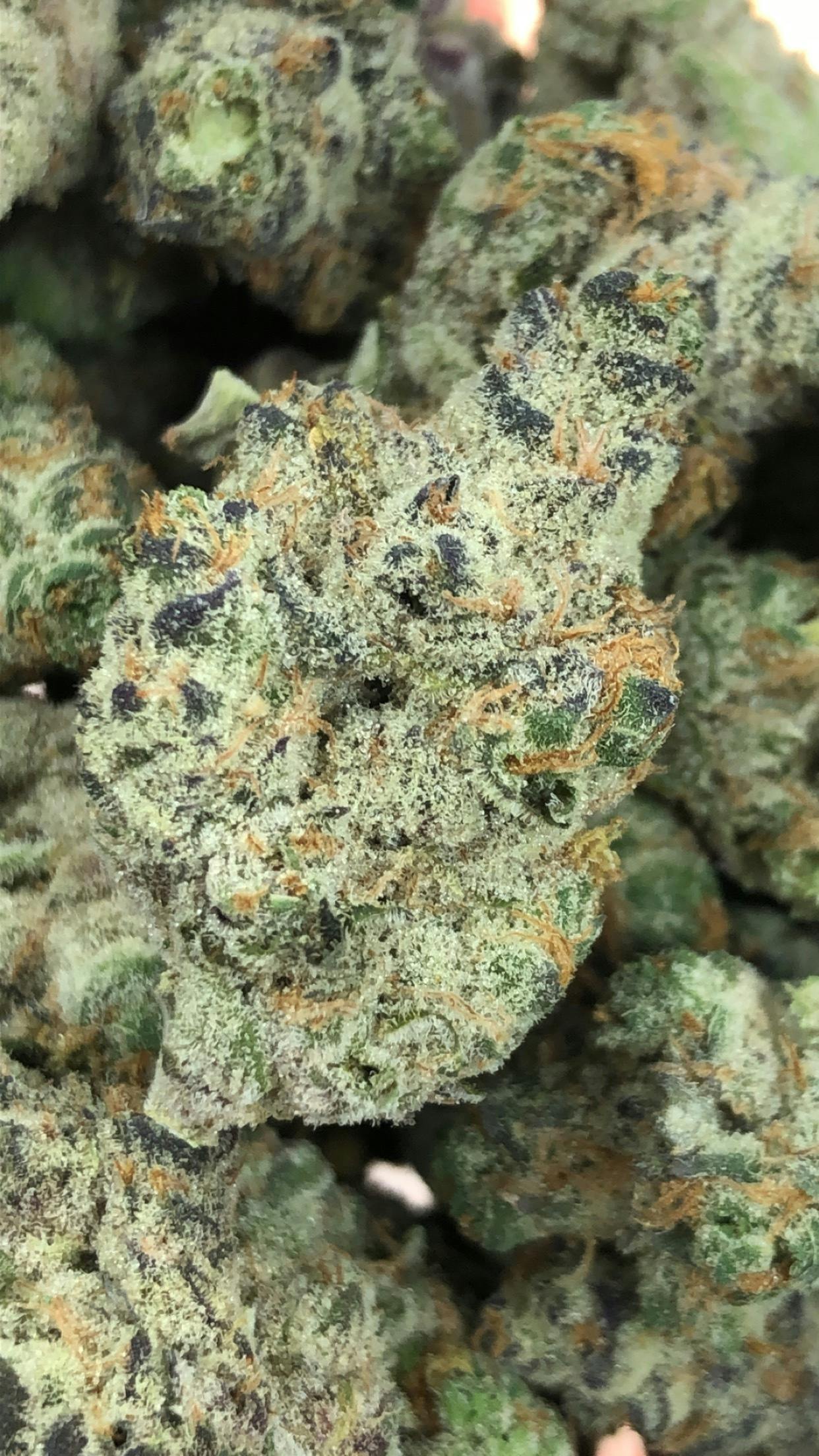 F5 Farms Punch Bucket