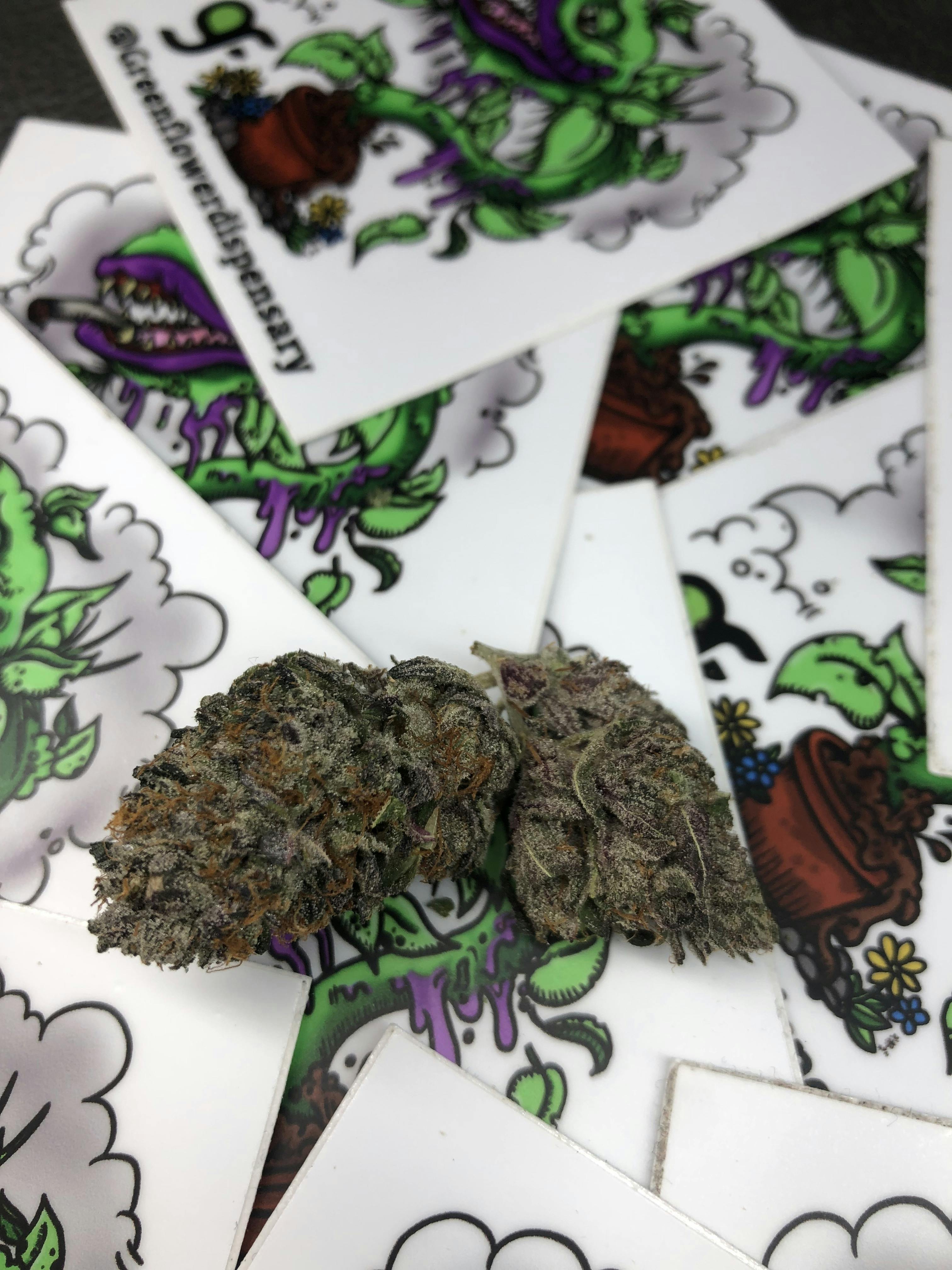 Easy Going Acres - Area 41