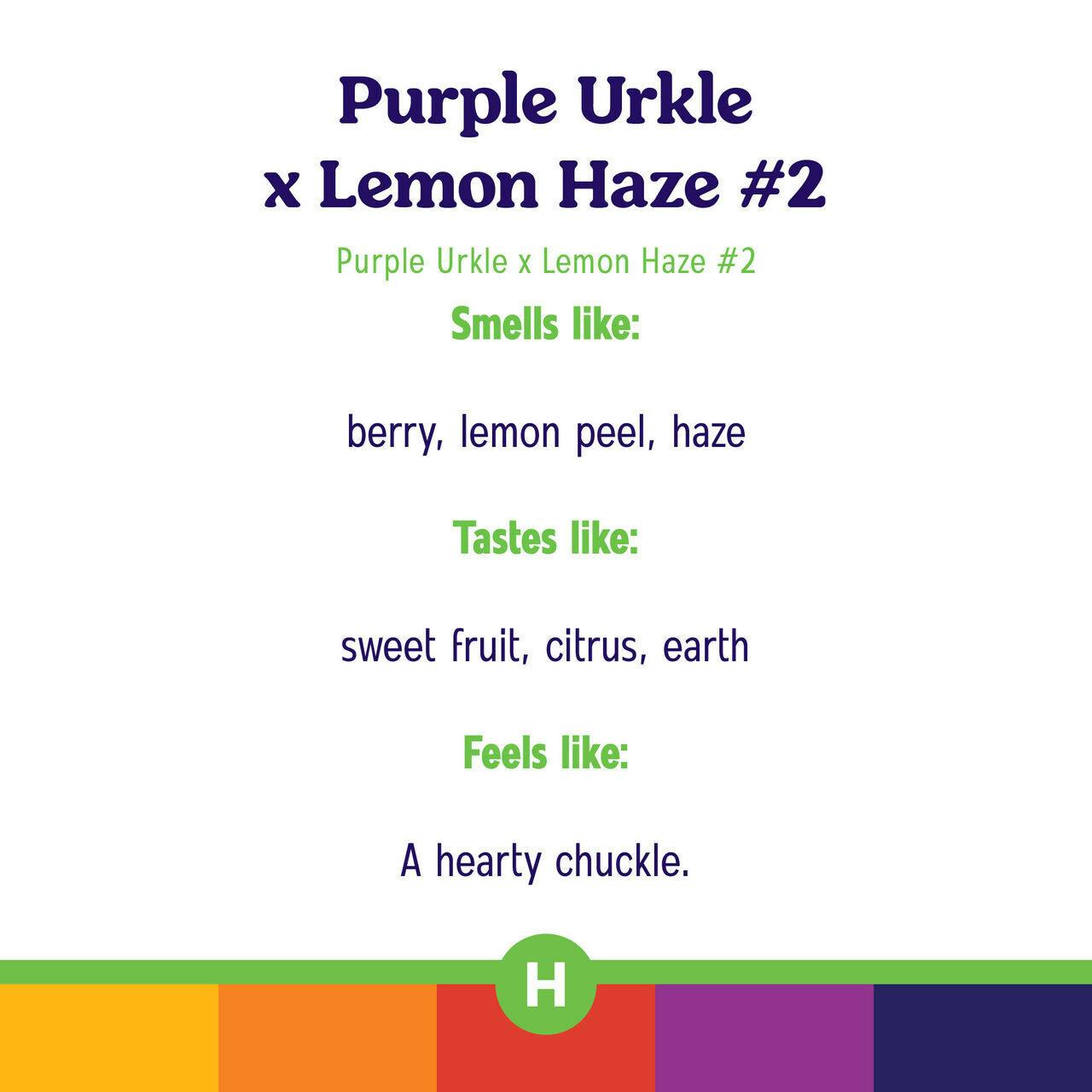 1g Purple Urkle x Lemon Haze #2 Budder