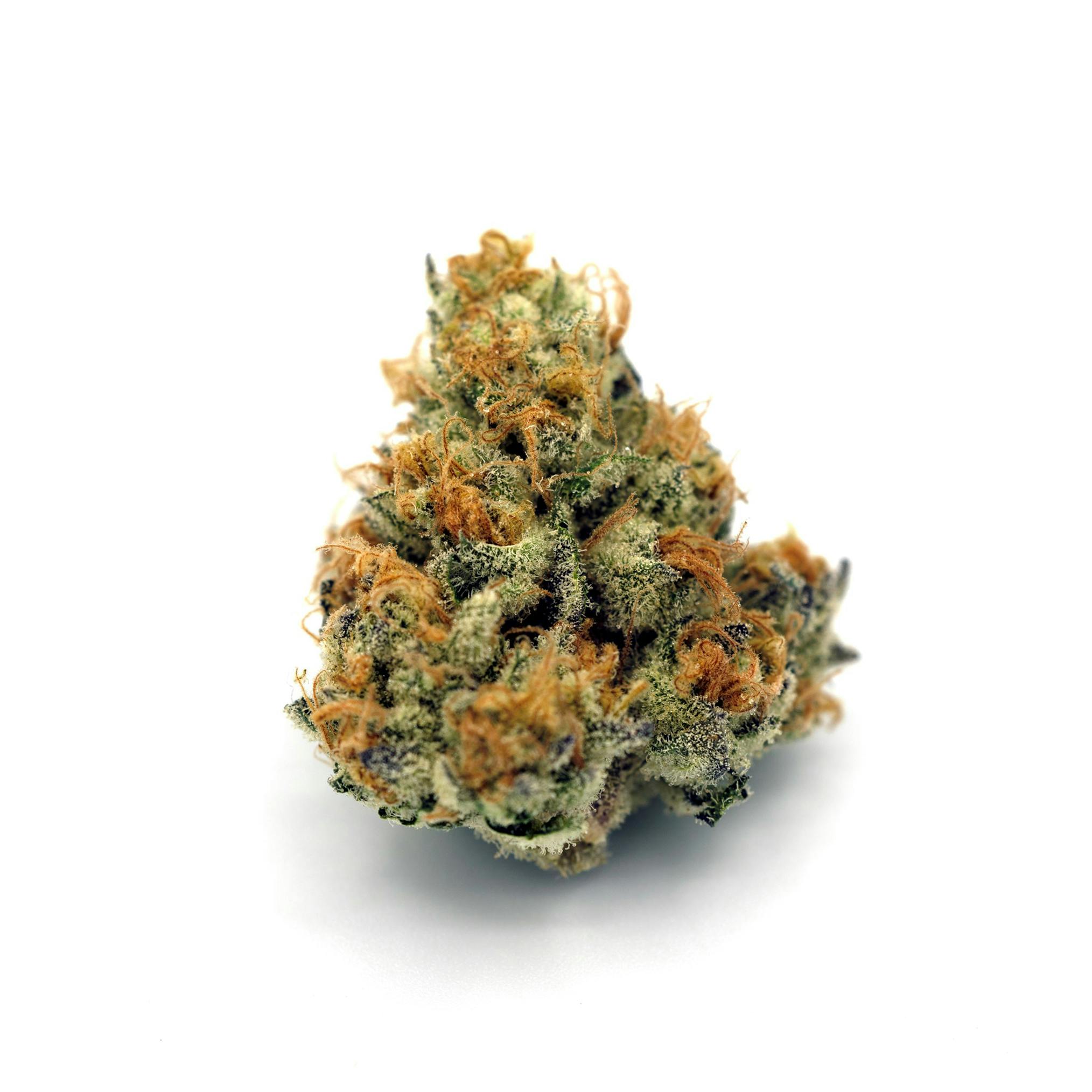 J.O.M.O Flower
