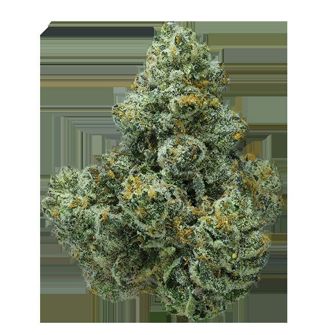 Mystical Gelato Flower