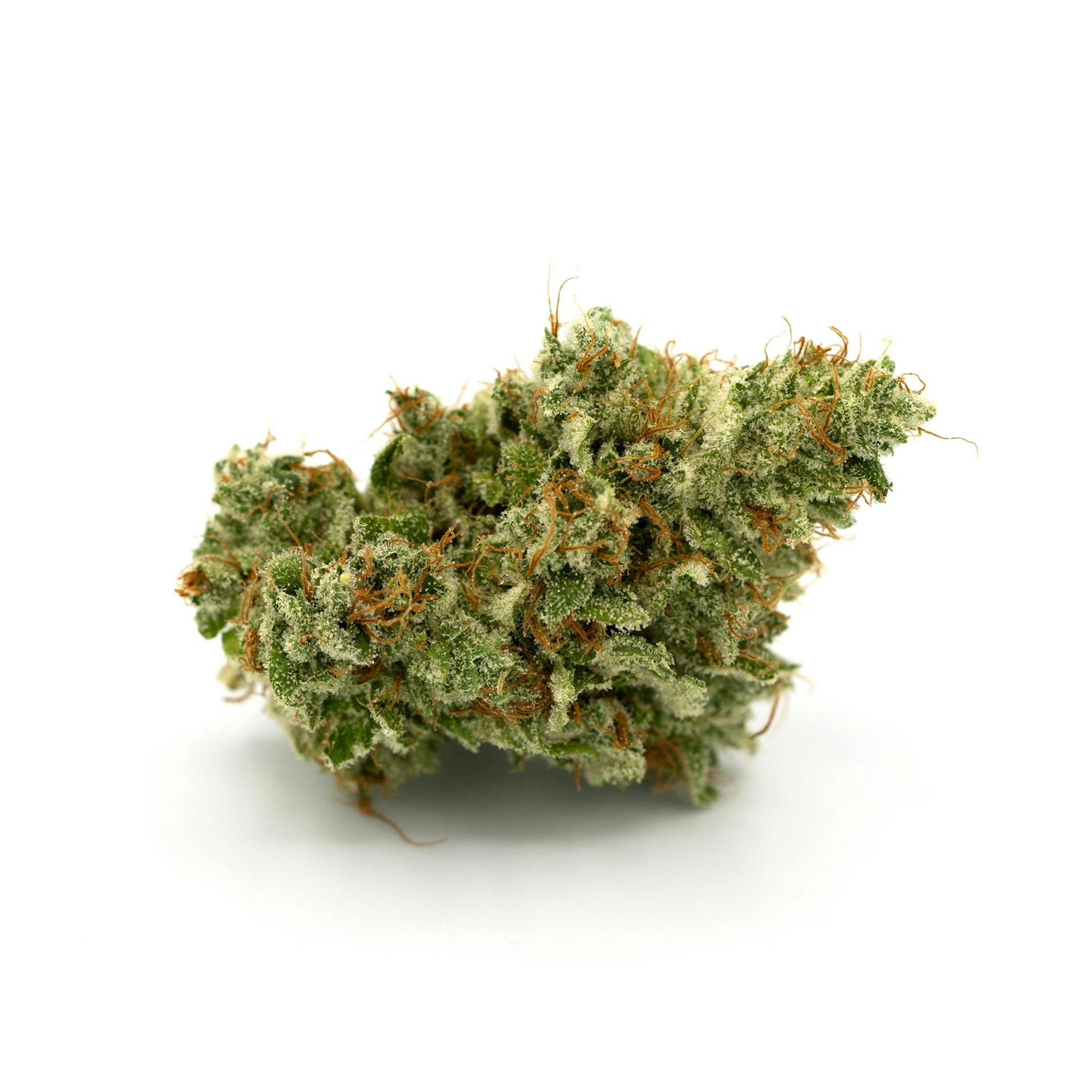 Toasted Toffee Flower cannabis product