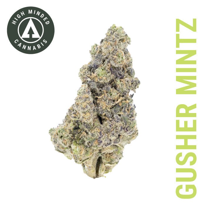 Gusher Mintz - Gold Tier cannabis product