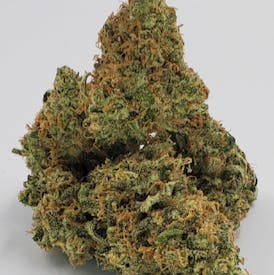 GG4 | Indica-Hybrid