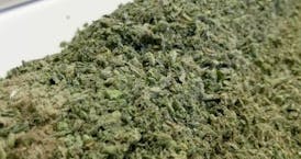 Afghan Kush | 14g Trim