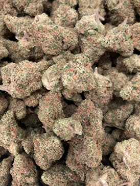 Dream Beaver | Sativa