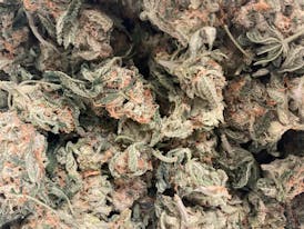 GMO by Green Degree | Hybrid