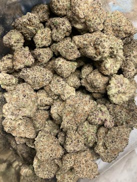 Forbidden Fruit | Hybrid