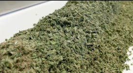 Indian Gold | 14g trim unit