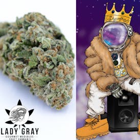 Skywalker OG | Indica
