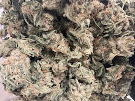 Green Degree | Face Blaster | Hybrid