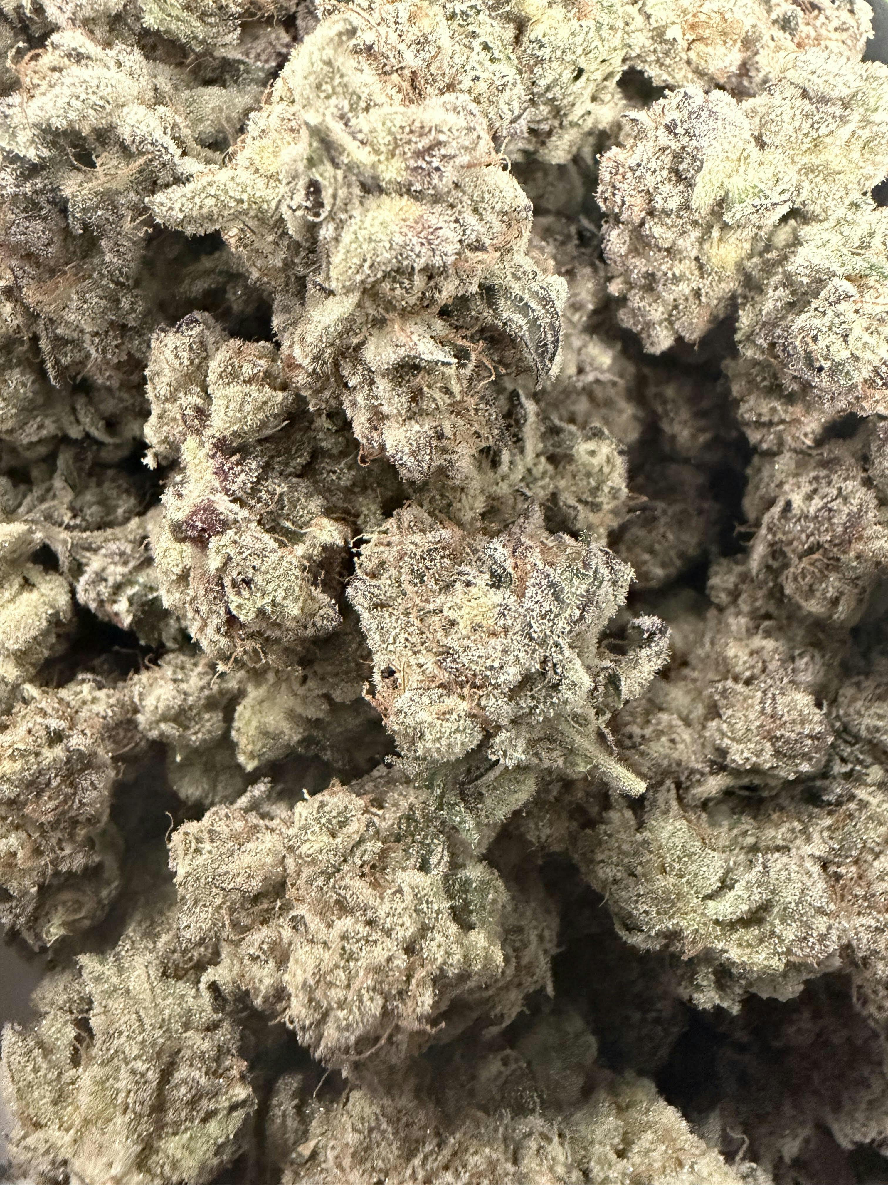 Stoned Cold | Creme Rozay | Hybrid