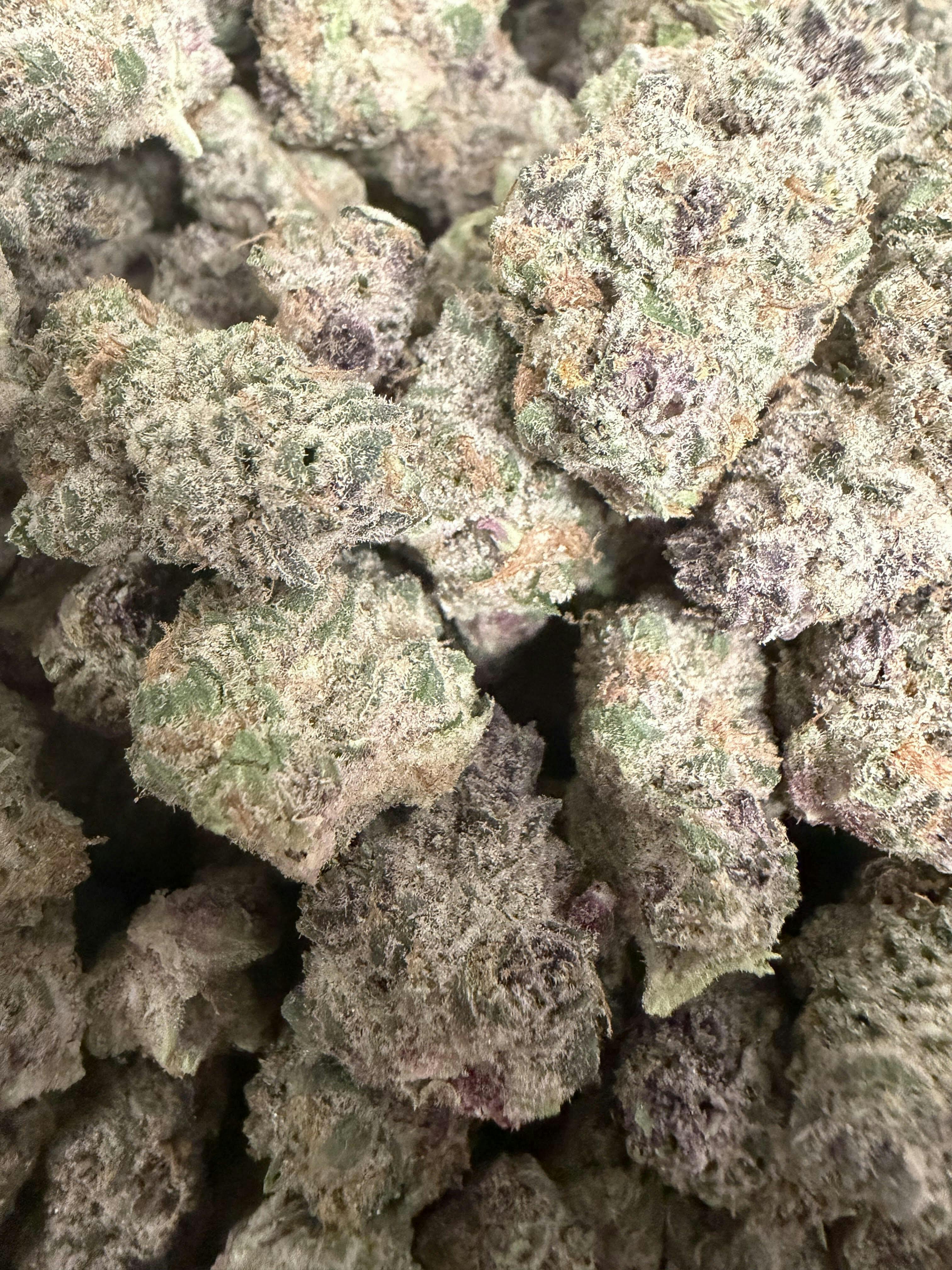 Tanana | Point Break | Indica | Flower
