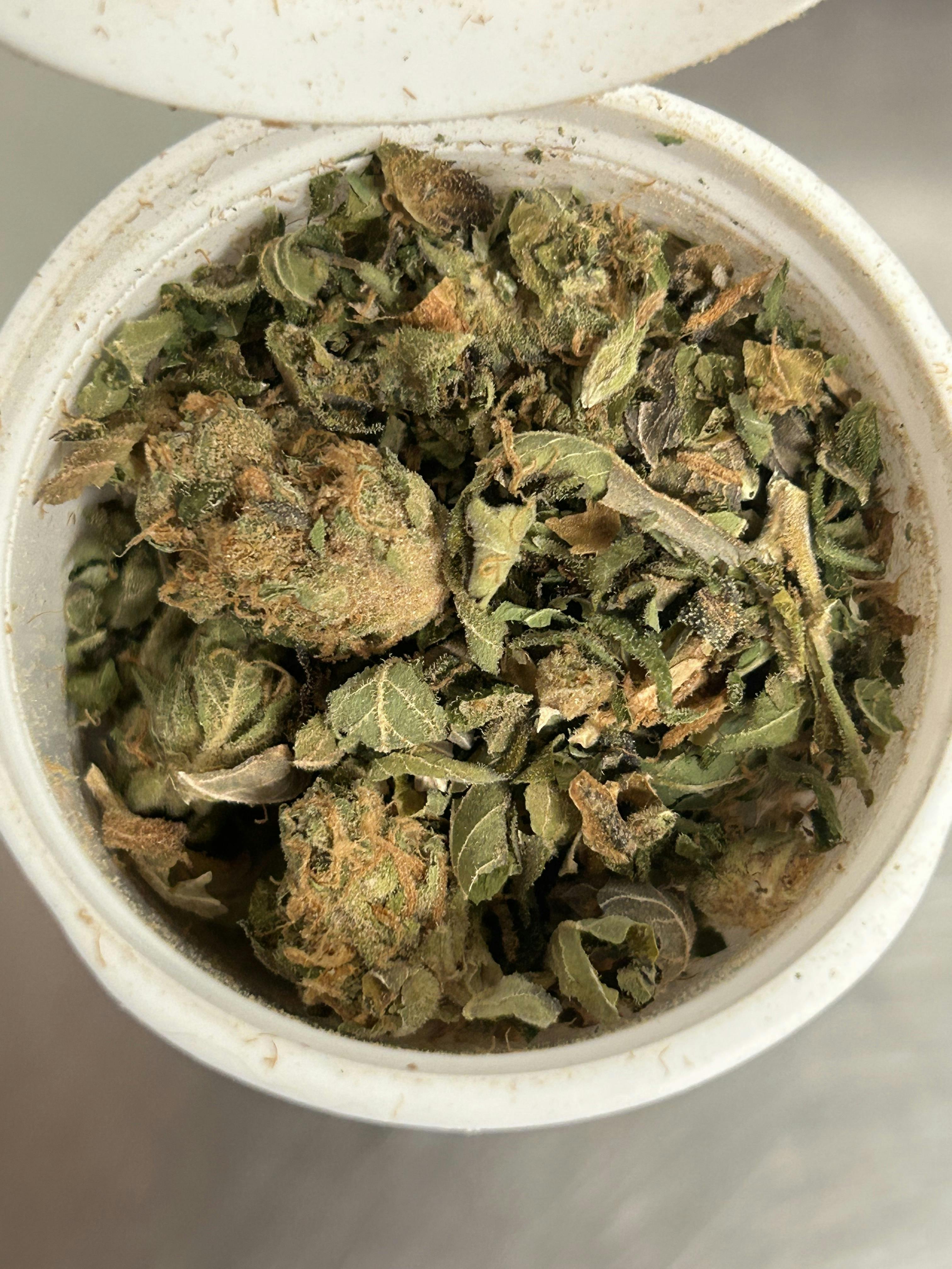 Green Degree | GMO | 14g Trim