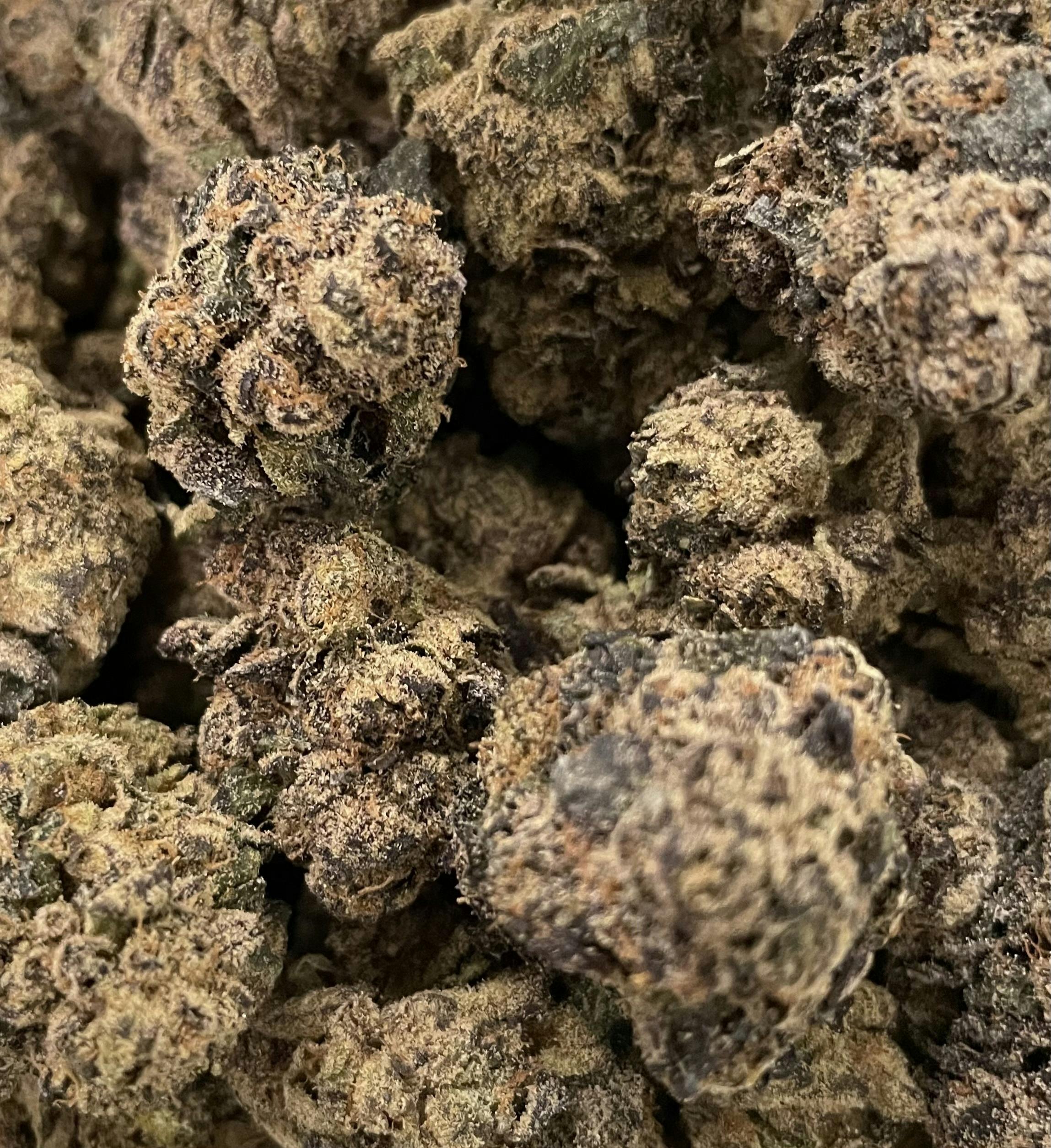 Dope Dynasty | Frosted Fish Flakes | Hybrid